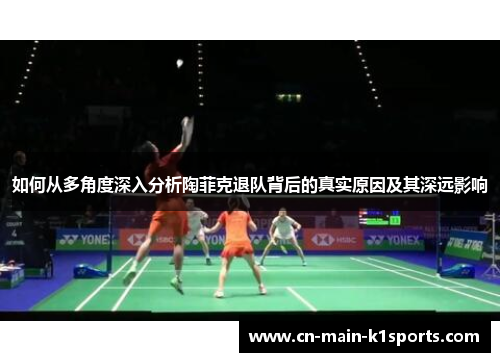 如何从多角度深入分析陶菲克退队背后的真实原因及其深远影响